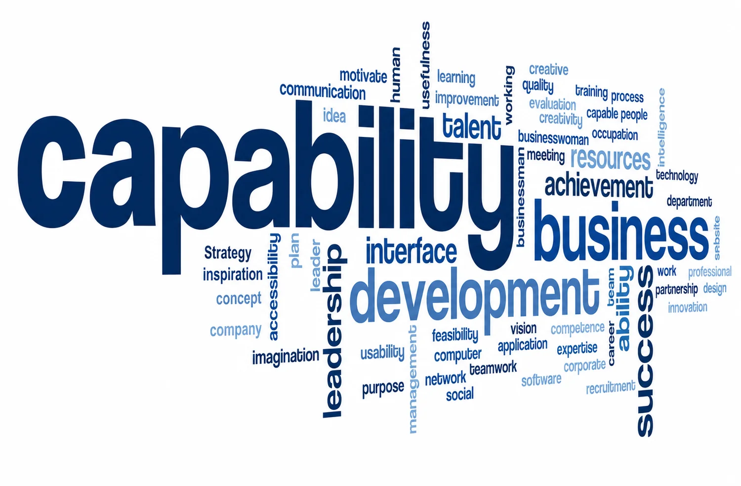 Capability statement business development image